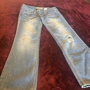 Vintage Paris Blues Light Blue Flared Distressed Jeans
